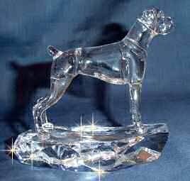 Boxer with Natural Ears Handsculpted Crystal Side View